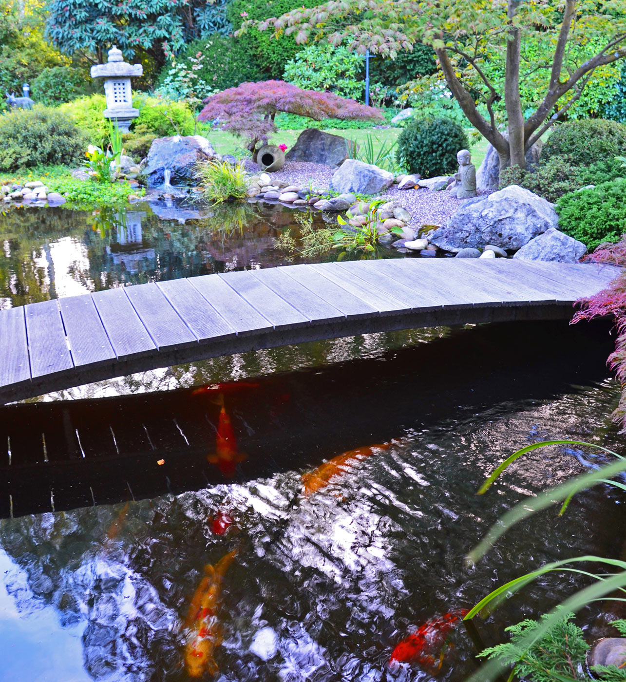 Japanischer Garten mit einer kleinen Brücke über einen Teich, in dem Kois schwimmen.