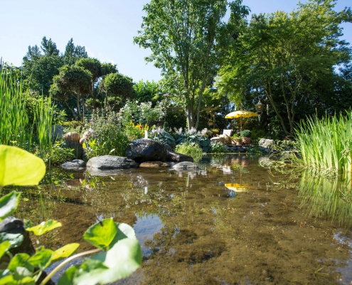 Biotop im Garten