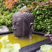 Buddhakopf in einem Wasserbecken als Blickfang in einem Garten