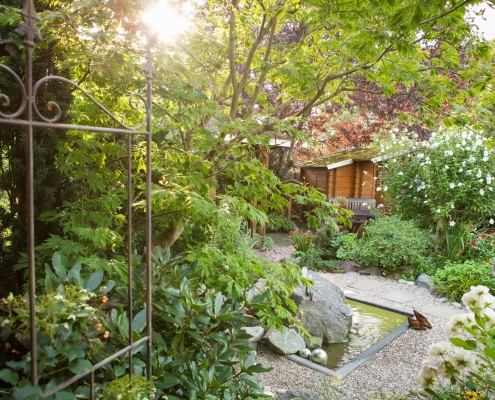 Wild romantischer Garten mit blühenden Büschen und einem kleinen Teich.