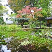 Über Jahrzehnte gewachsener natürlicher Garten, ein Bullerbügarten, mit Gartenteich, Seerosen, einer kleinen Brücke und schön beschnittenen Bäumen vor einem Haus.