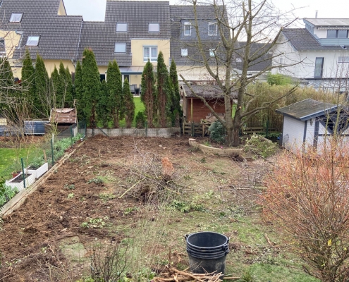 Verwilderter Garten in Hennef vor Beginn einer Gartenplanung und Anlage eines neuen Garten.